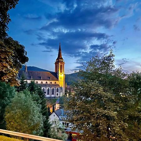 Ferienhaus Haus Herzog Titisee-Neustadt Eksteriør bilde