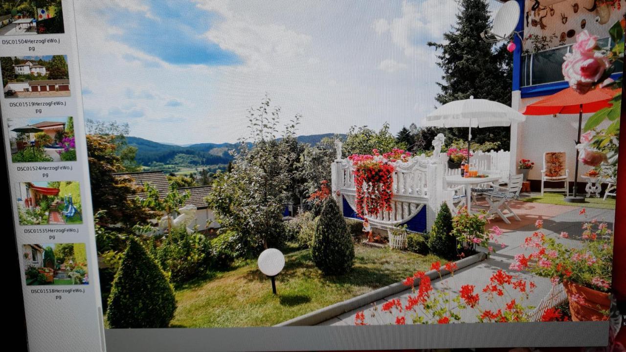 Ferienhaus Haus Herzog Titisee-Neustadt Eksteriør bilde
