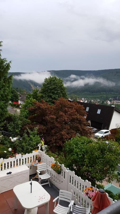 Ferienhaus Haus Herzog Titisee-Neustadt Eksteriør bilde