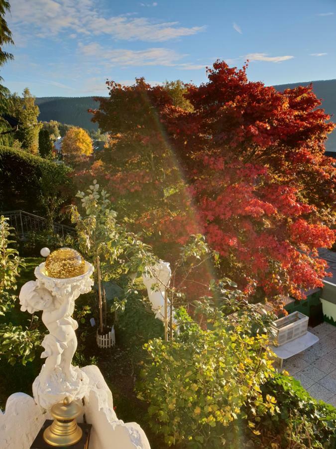 Ferienhaus Haus Herzog Titisee-Neustadt Eksteriør bilde