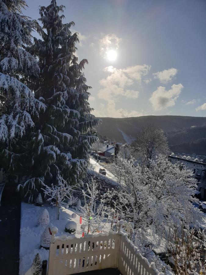 Ferienhaus Haus Herzog Titisee-Neustadt Eksteriør bilde